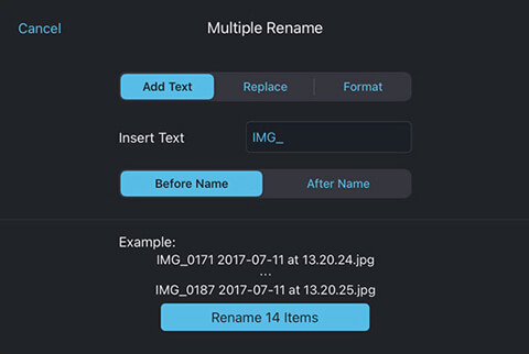 Add text to multiple files in bulk using your iPad or iPhone