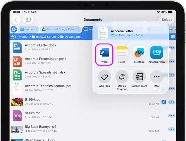 Now iOS will show you the apps that this file can be passed to