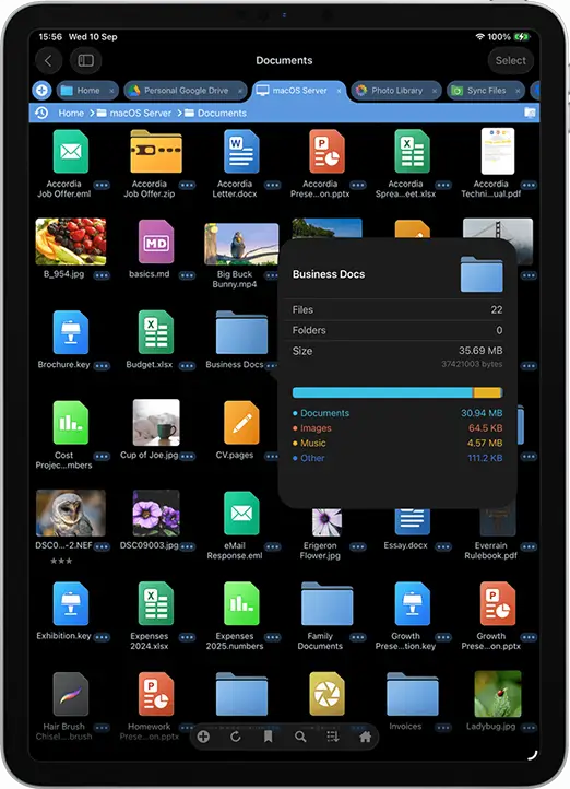 FileBrowser Professional is the Greatest Utility on iOS of all time