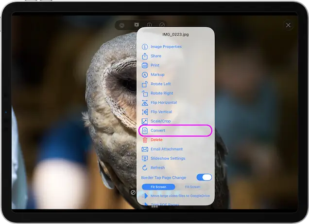 How to Convert Images to HEIC, JPG or TIFF