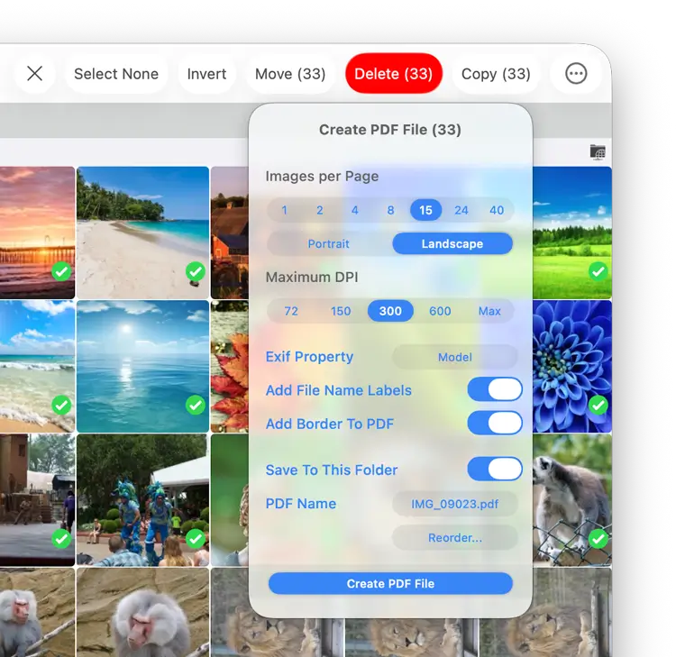 How to Create a Photo Contact Sheet