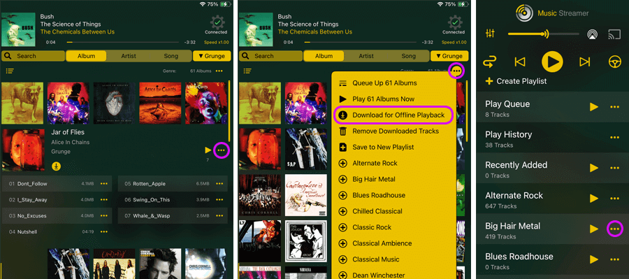 Download your music files to your iPad for offline play