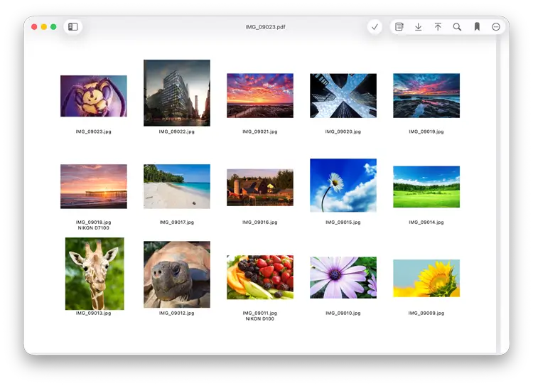 Add multiple photos to a PDF and customize how many pages per page and labels