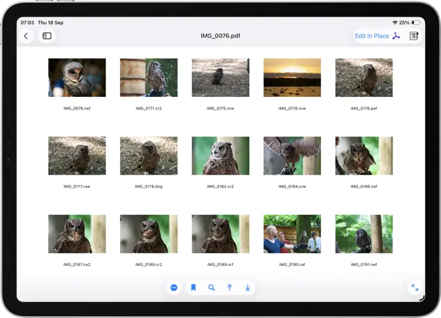 Add multiple photos to a PDF and customize how many pages per page and labels