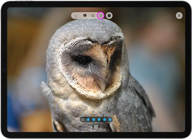 Using multi select