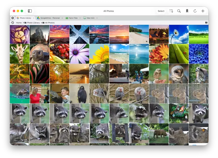 How to ChromecastCast Photos to your TV