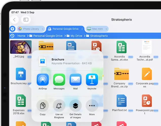 Share Files with FileBrowserGO