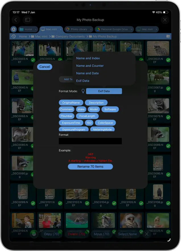 Use EXIF data to rename in bulk your photos