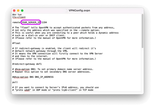 Export your VPN Server Config File