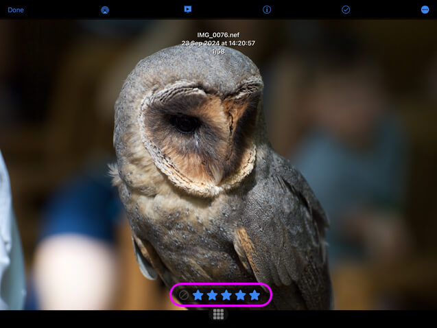 Select a photo and tap the information icon, this will bring up the information panel.