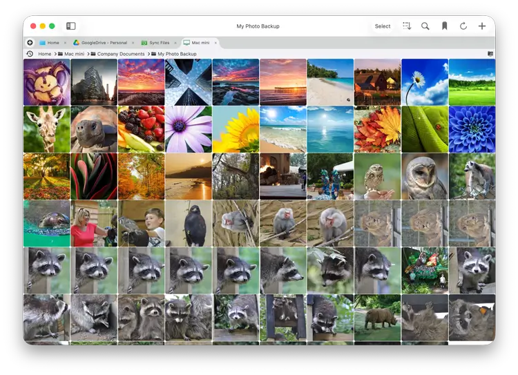 Grid View No Borders