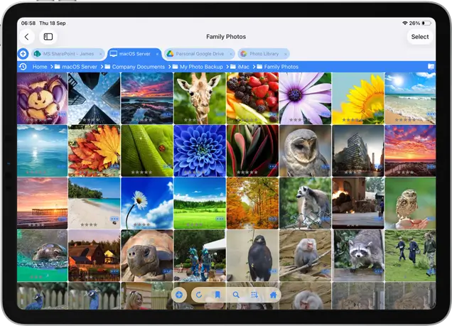 Grid View No Borders