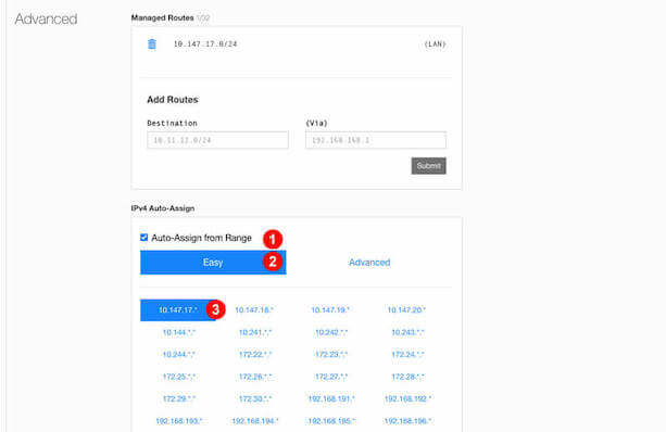 allow assignment of global ip zerotier