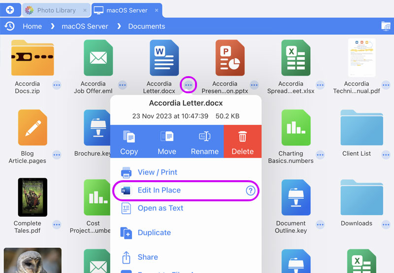 Browse and edit Word documents from FileBrowser
