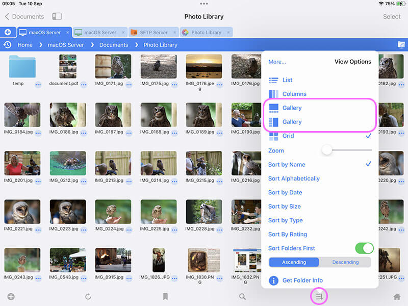 Large Document Preview and Document Info View