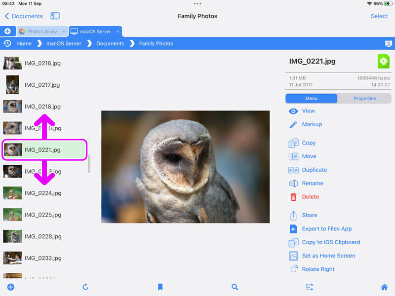 Easily view photos with large previews