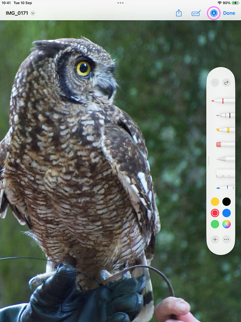 Use the iOS Markup tools in FileBrowser