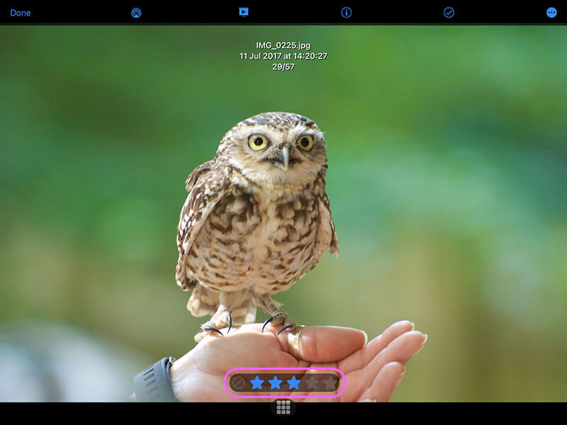 How to Rate or Reject Photos with XMP