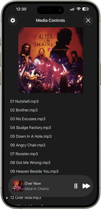 Music queue showing album tracks playing in FileBrowser iPad music player