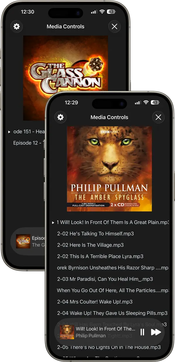 Resume and play audiobook tracks on iPhone or iPad using FileBrowser