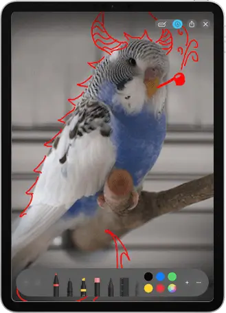 Annotate Images or PDFs using File Browser