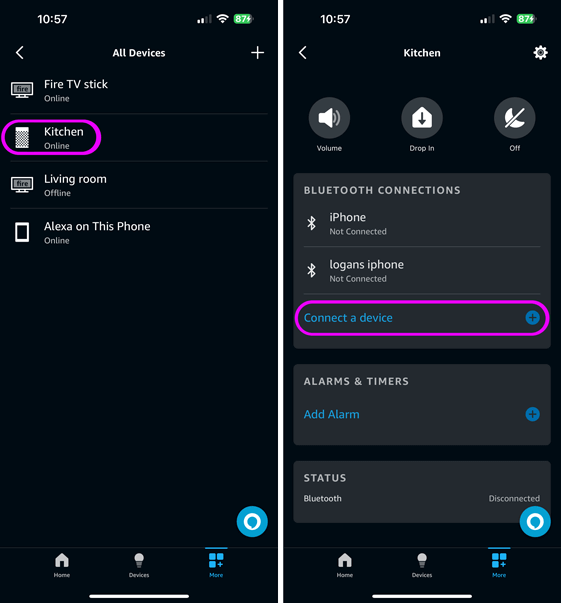 connect to echo via bluetooth