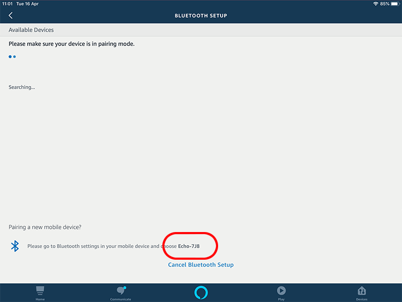 alexa play through bluetooth