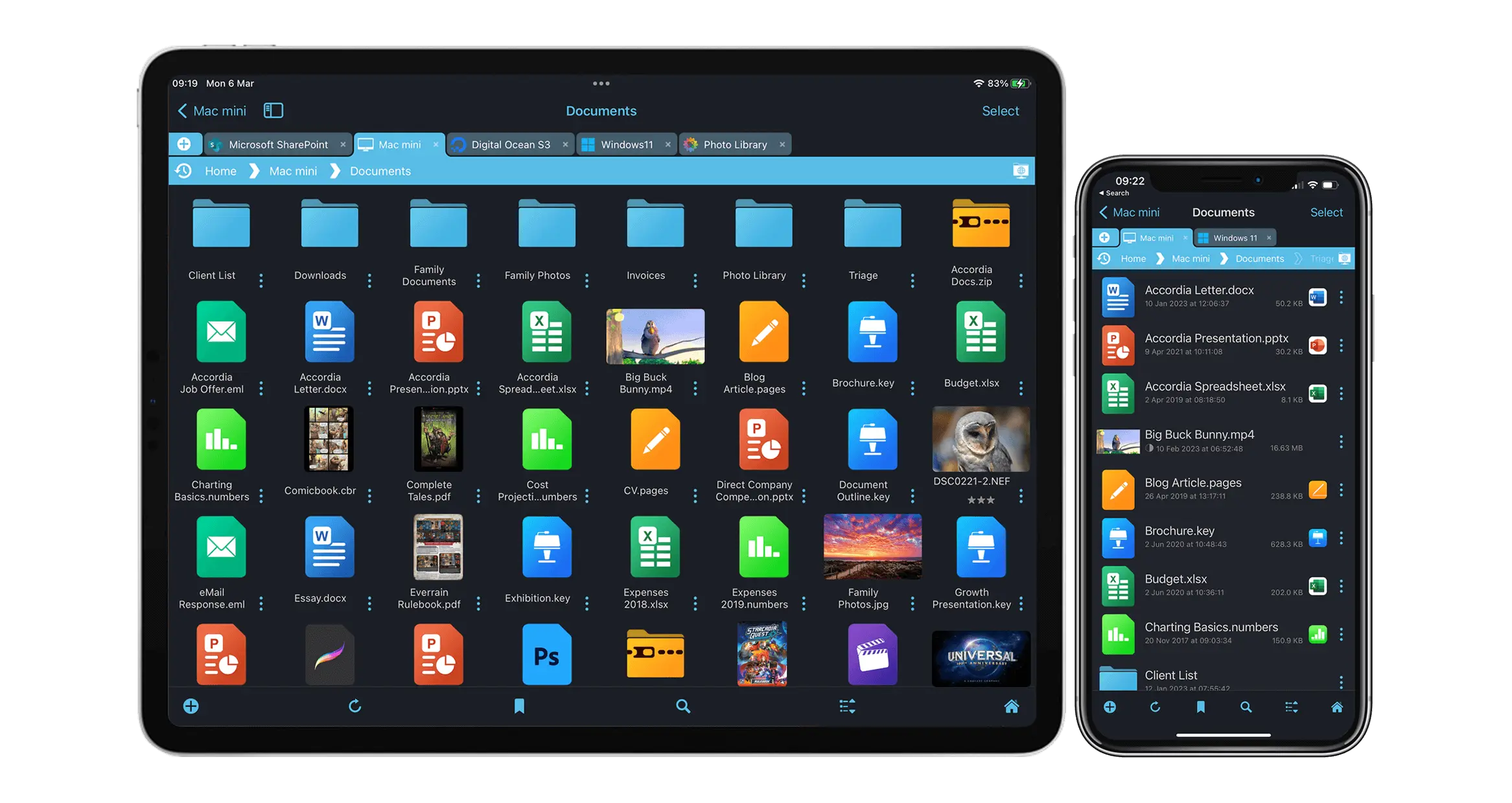 Professional file manager for your iPad or iPhone
