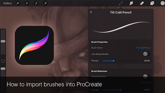 How to Import and Export brushes with ProCreate